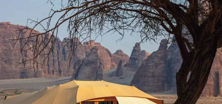 Banyan Tree Alula image